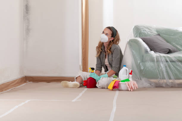 Reliable Mold Remediation contractor in Rumson, NJ by WQB Mold Removal